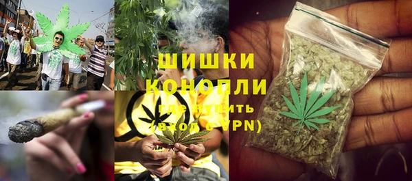 дживик Зеленокумск