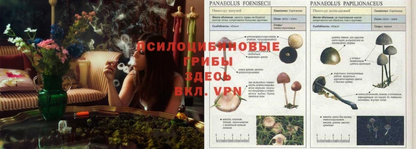 а пвп мука Зерноград