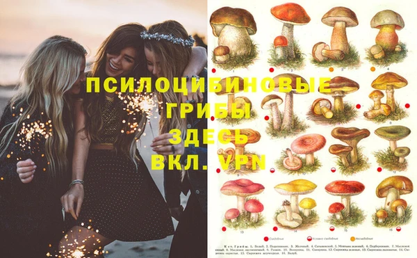 дживик Зеленокумск
