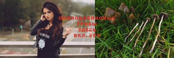 дживик Зеленокумск