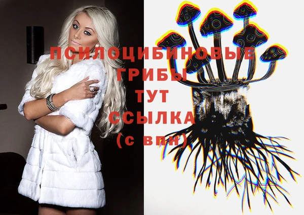 дживик Зеленокумск