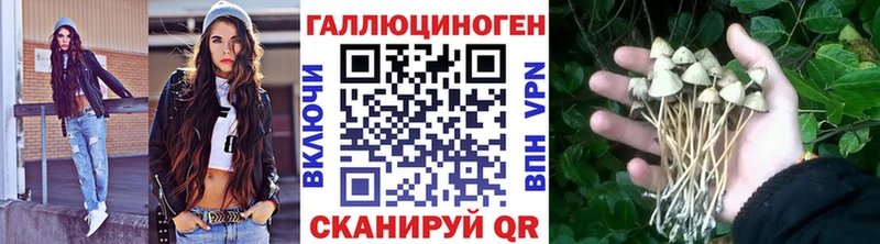 купить наркоту  Татарск  Псилоцибиновые грибы ЛСД 